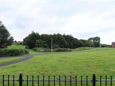 Picture 13